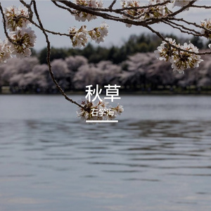 秋草