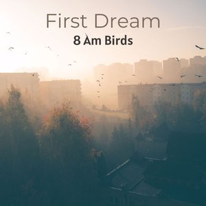 8.05 Am Birds