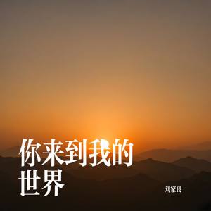 你来到我的世界