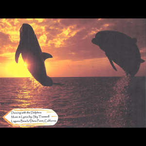 Dancing with the Dolphins