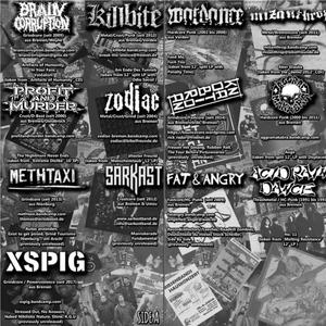 Exist to get pissed / Autos anzünden