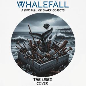 A Box Full of Sharp Objects