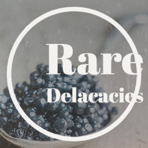 The Progress of Conscience - No Bass No Pads