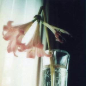 绝情晃一杯（晚风缕缕吹） 二舅姥爷