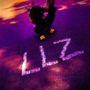 LLMGz