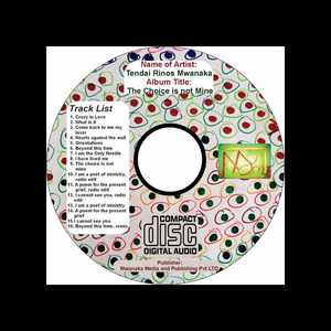 I Am the Only Needle (Radio Edit)