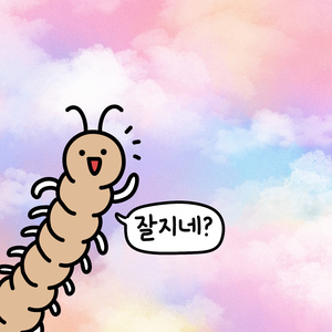 지네가 쏘아올린 커다란 꿈