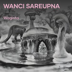 Wanci Sareupna (Cover)
