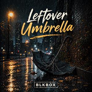 Leftover Umbrella