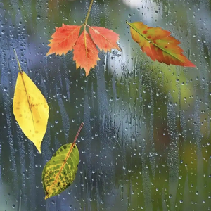 每场雨里找彩虹