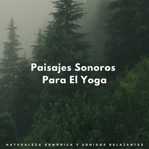 Poses Restaurativas De Yoga