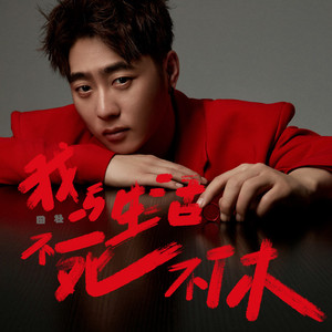 我与生活不死不休