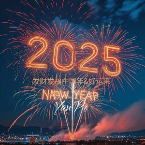 发财发福中国年（DJ版）