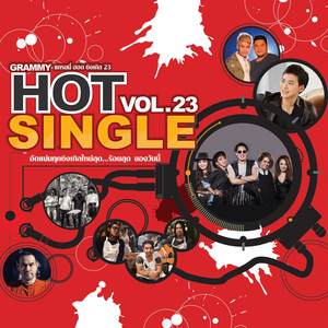 ไม่เจ็บอย่างฉันใครจะเข้าใจ (เพลงประกอบละคร "สามีตีตรา")