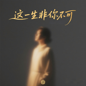 这一生非你不可