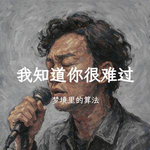 我知道你很难过
