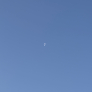 能让我惦记的只有你