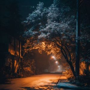 雨巷闲步（舒缓钢琴曲）