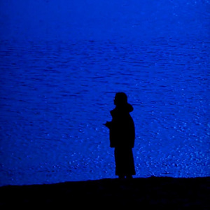 我看过花开又花落