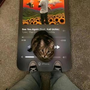 聊天记录是我们唯一共同财产