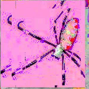 Kate Moss (feat. Bronjame$on, BNKH & skomaZOM)