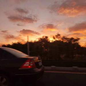 狮子猫（翻自 喻言）