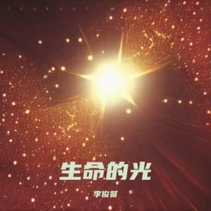 落在生命里的光