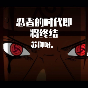 Boomerang-Shut down（苏御呀。 remix）