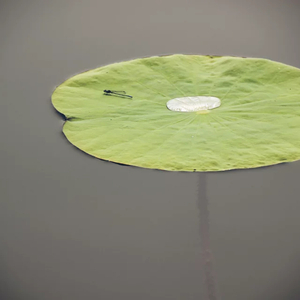 改变自己 民警调解版Demo（Cover 王力宏）