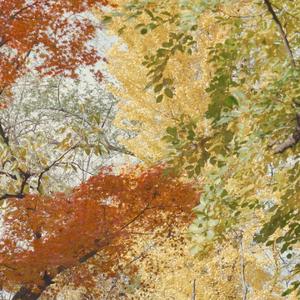 迟到的秋天（Prod by Rising Beat）