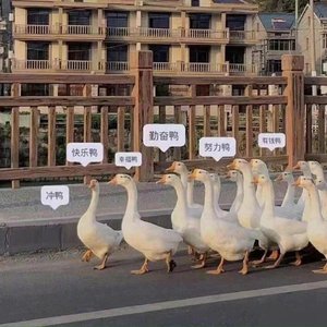 你应该很快乐