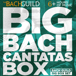 Cantata No.202:Weichet nur, betrübte Schatten (Wedding Cantata), BWV202: V. Aria: Wenn die Fruhlingslufte streichen