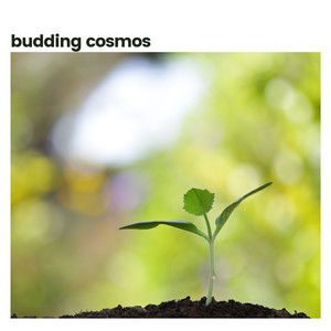 Streaming Piano Waters