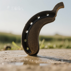 马蹄南去人北望