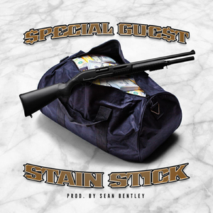 Stain Stick