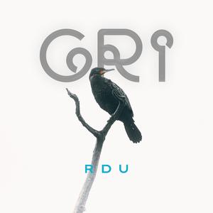 Yüreğim hep havalarda