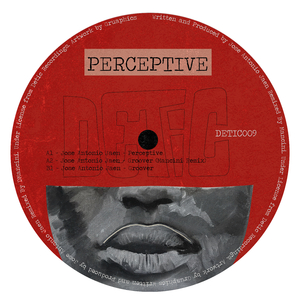 Perceptive (Original Mix)