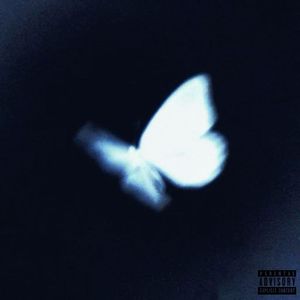 Butterfly Love Riot