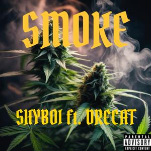 SMOKE (feat. DRECAT)