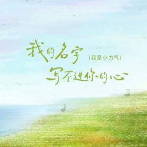 我的名字写不进你的心