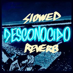 Desconocido (SLOWED & REVERB)