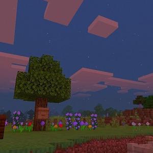 Je vis plus, je survis