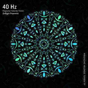 40 Hz: Toon om je Leren te Helpen