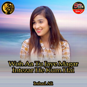 Woh Aa Tu Jaye Magar Intezar He Kum Hai (1)
