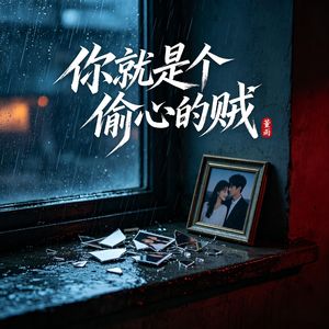 你就是个偷心的贼