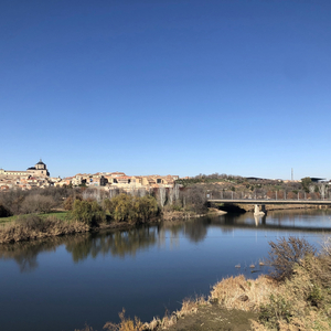 遊びションガネー