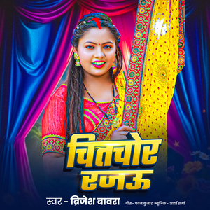 Chitchor Rajau