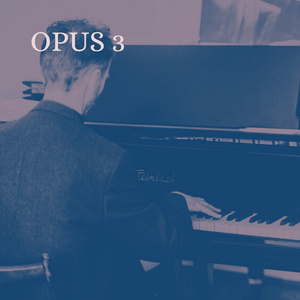 Prelude No. 4: "Arrabbiato" - K.38, Opus 3