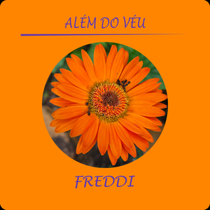 Além do Véu