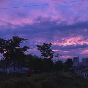 从你的全世界错过